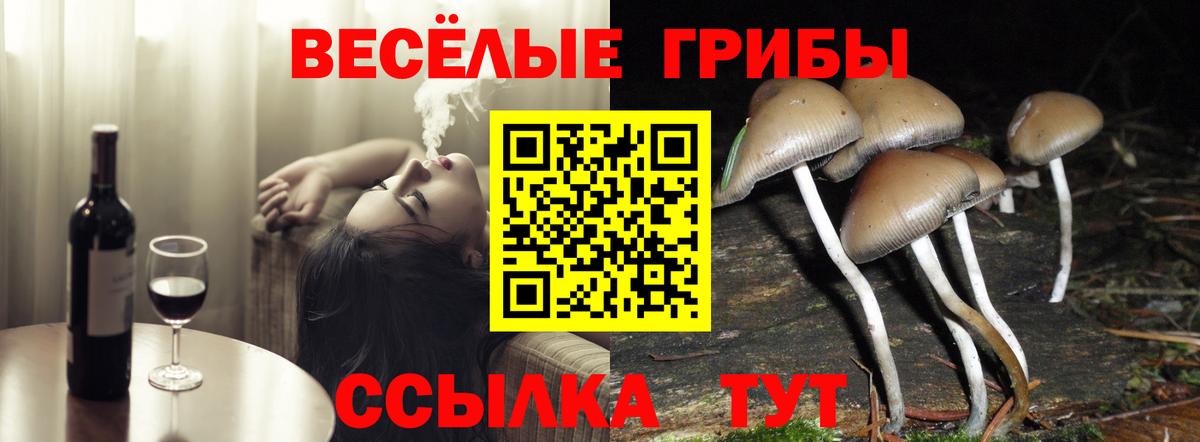 Галлюциногенные грибы MAGIC MUSHROOMS  Вход с VPN  Знаменск 